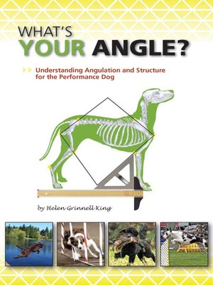 cover image of What's Your Angle?
